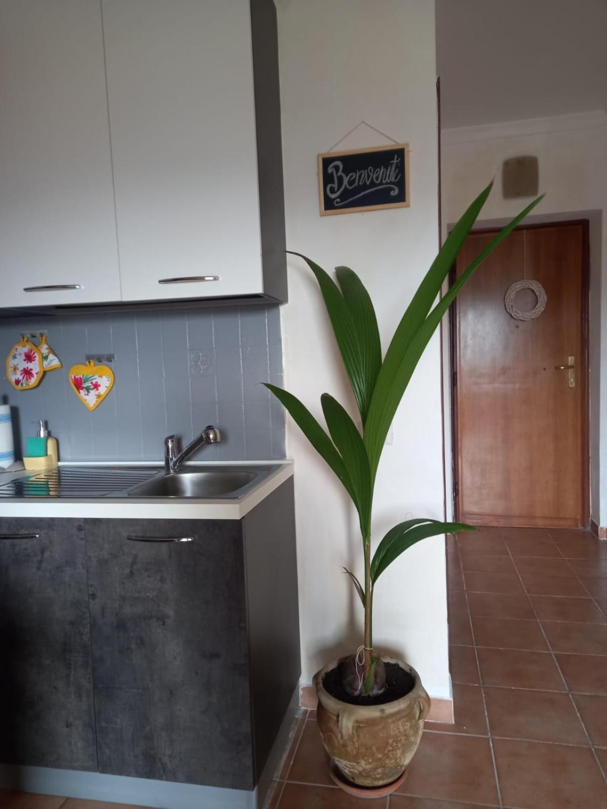 Antica Fonte Apartment Montefranco Екстериор снимка